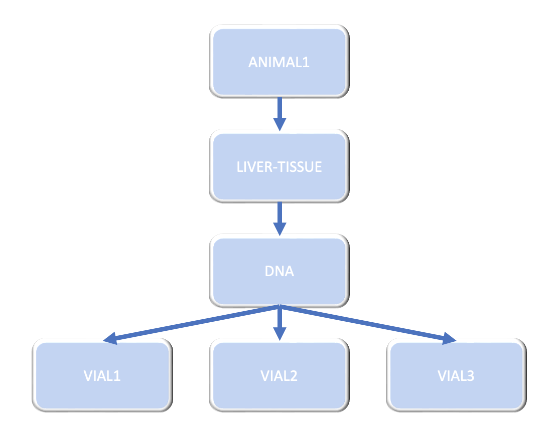 openbis parent child relationship